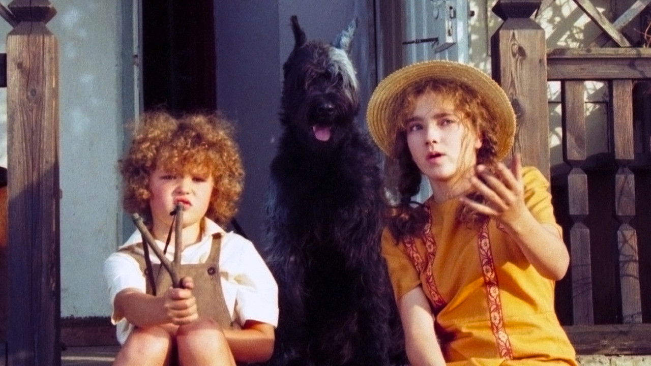 Panna z mokrą głową backdrop