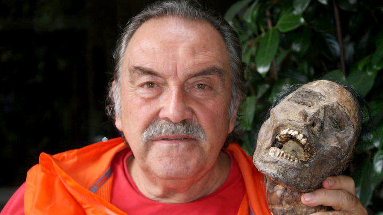 From Inside backdrop