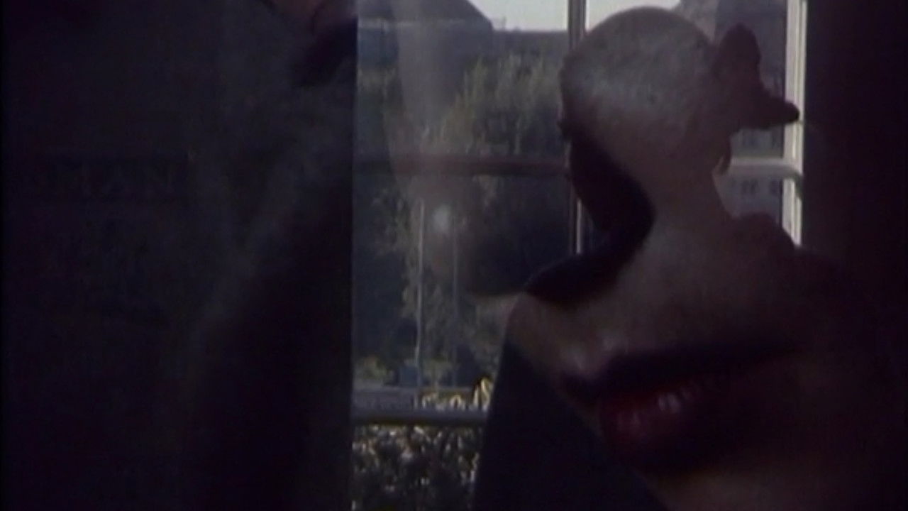 Kinderkrieg & Kinderfrieden oder J.S. Bach: Die Kunst der Fuge backdrop