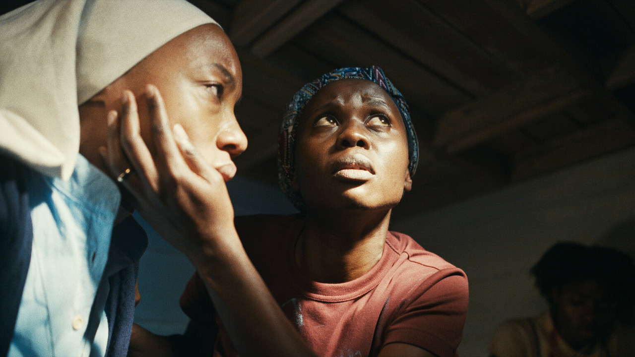 Trees of Peace backdrop