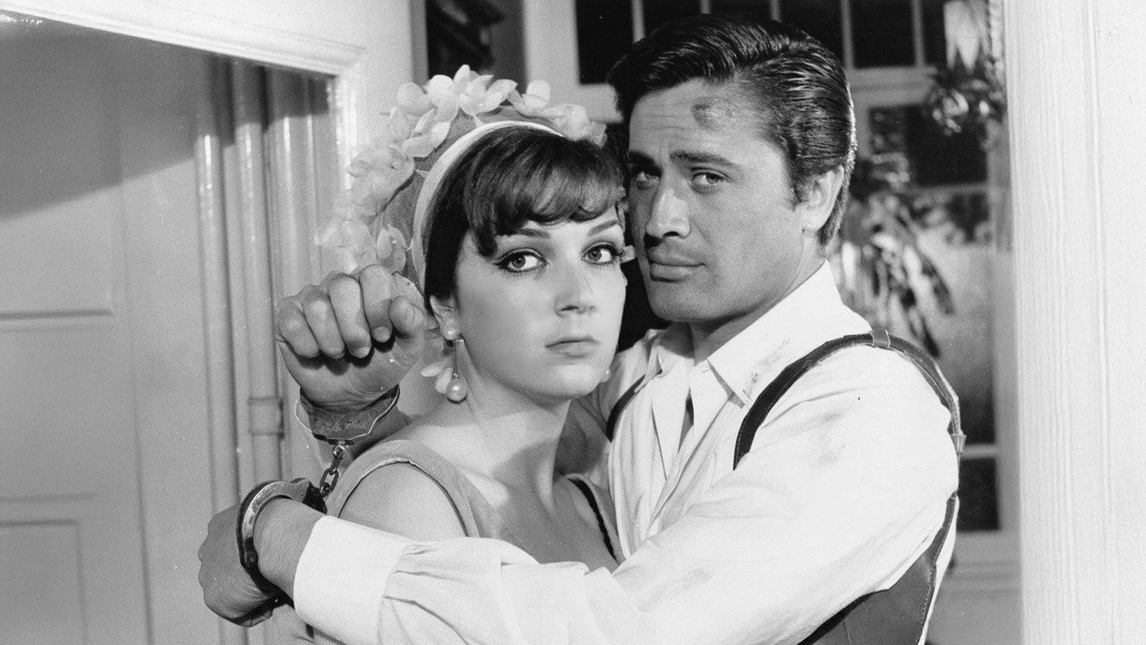 Ruby-Eyed Cat backdrop