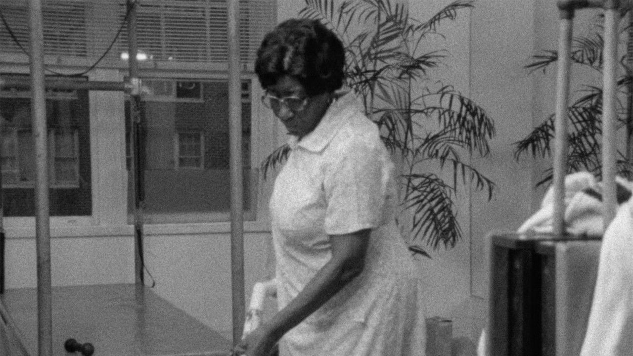 Fannie's Film backdrop