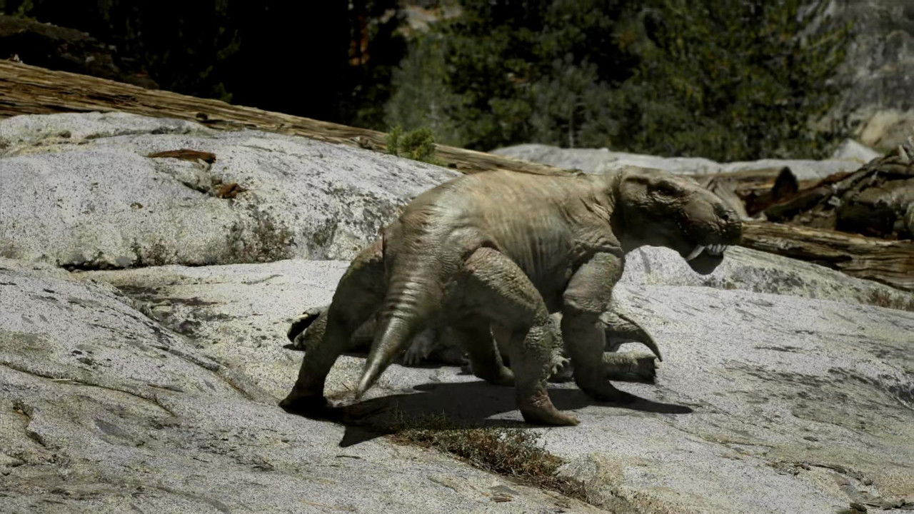 Leaps In Evolution backdrop