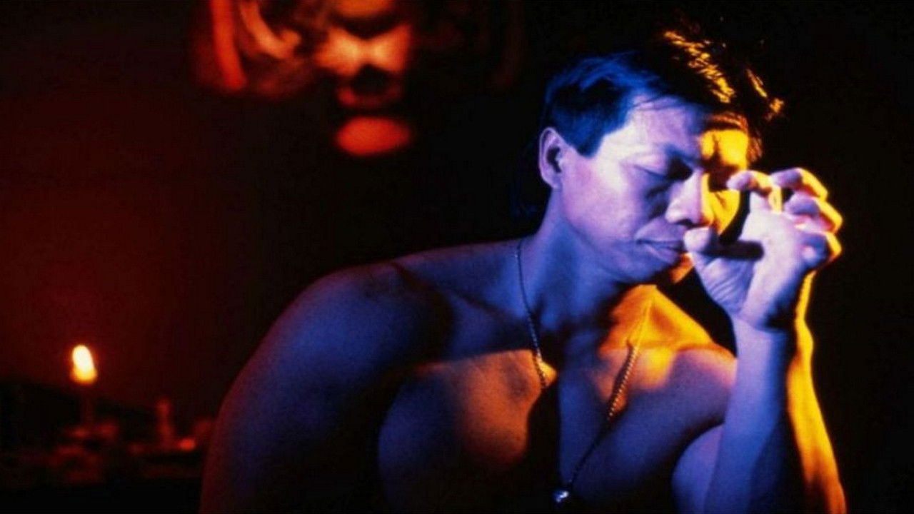 Fearless Tiger backdrop