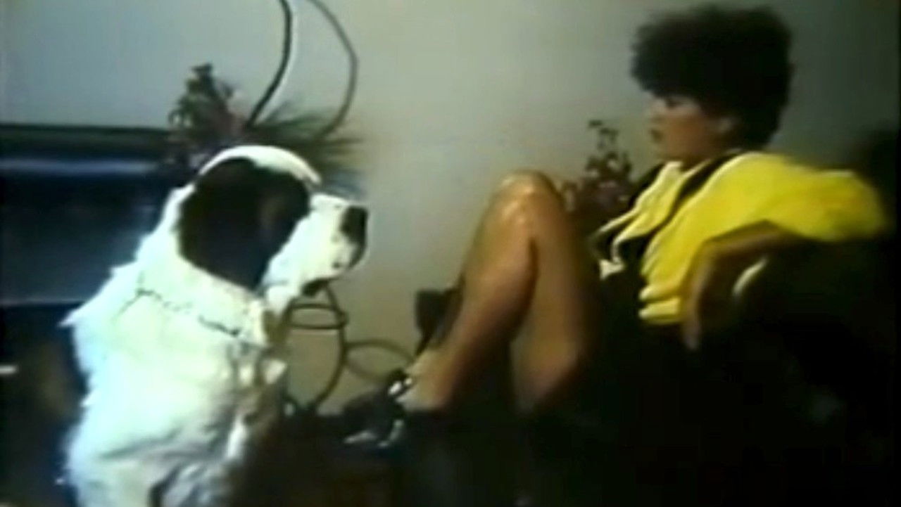 Meu Cachorro, Meu Amante backdrop