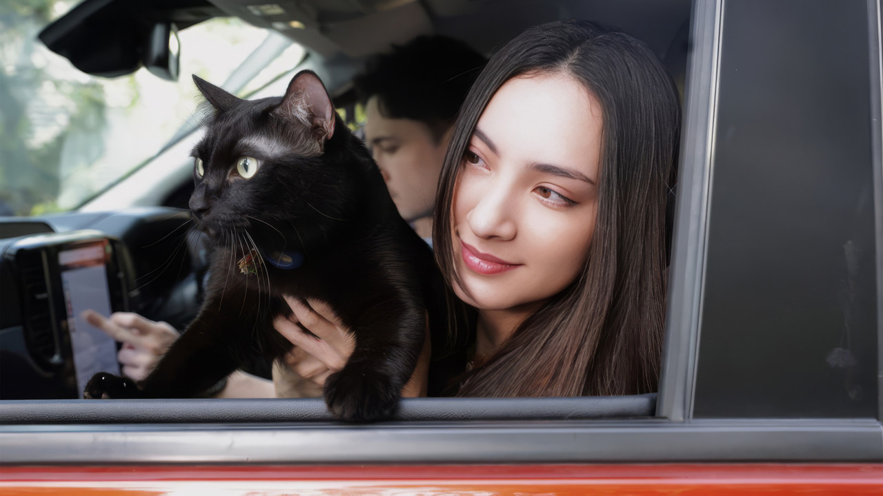 Devil Black Cat backdrop