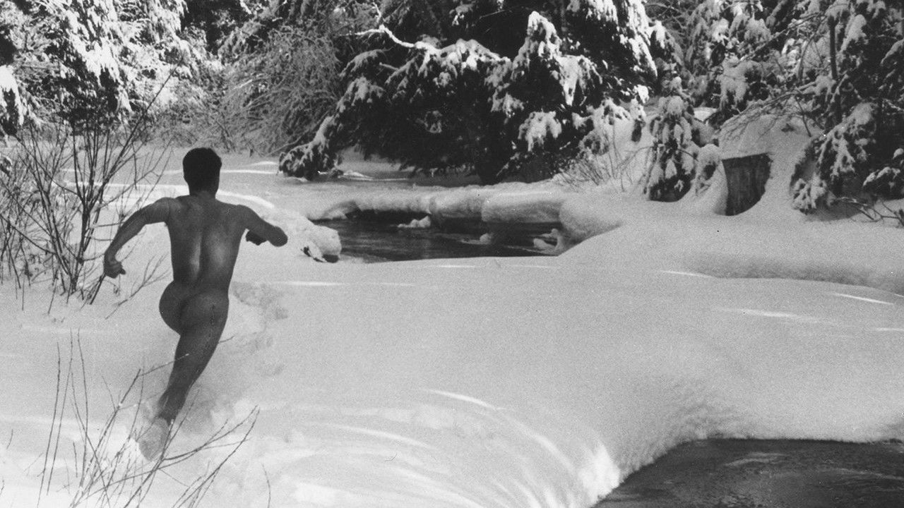 Hallelujah the Hills backdrop