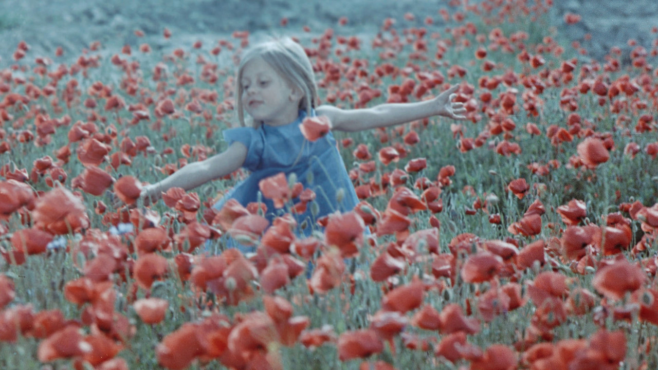 Colourful Dreams backdrop