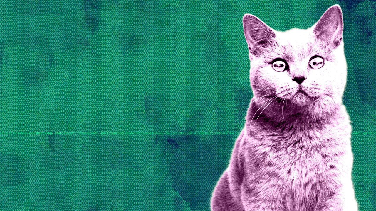 Off the Air backdrop