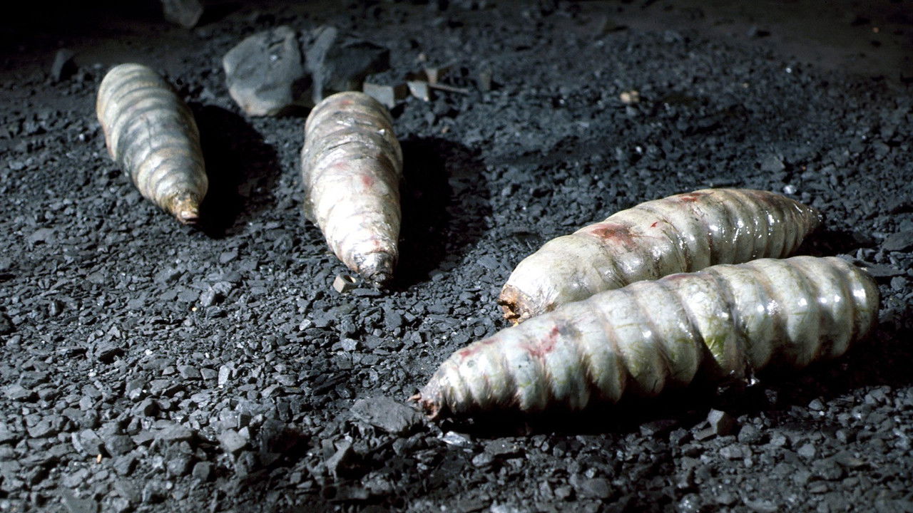 Doctor Who: The Green Death backdrop