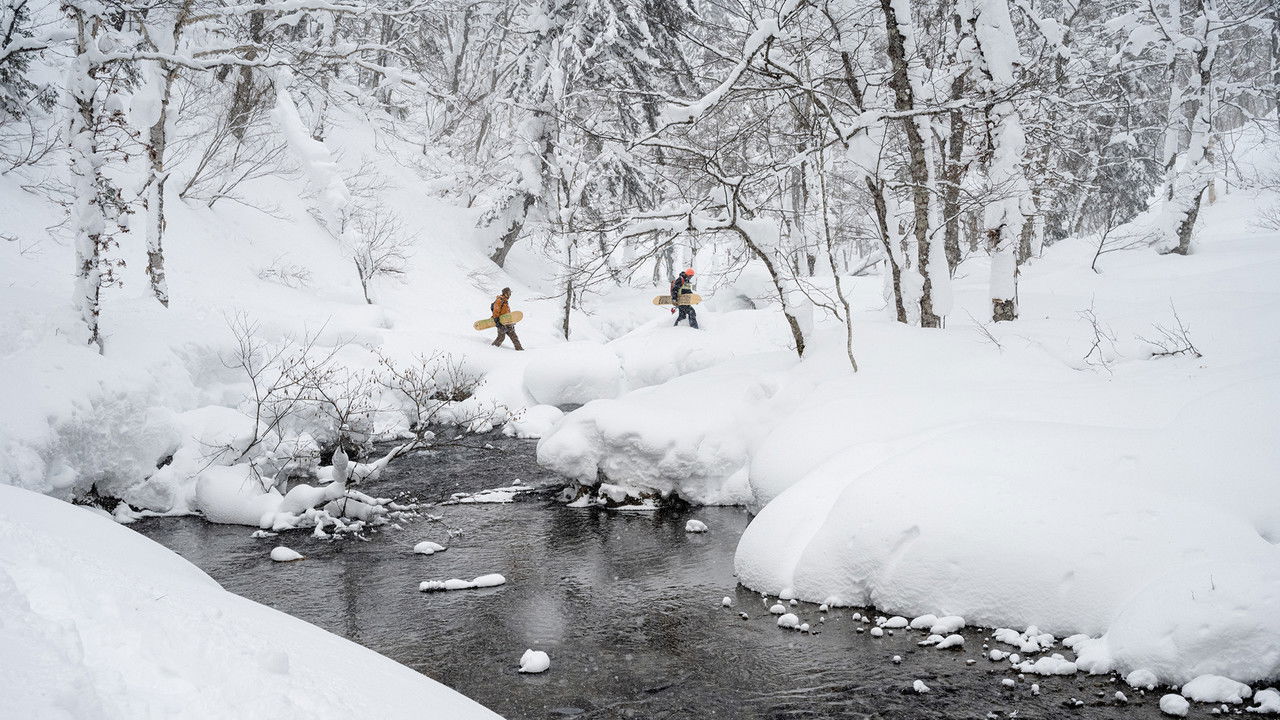 The Meaningless Pursuit of Snow backdrop