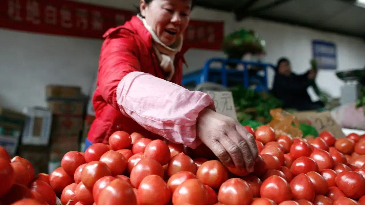 The Empire of Red Gold backdrop