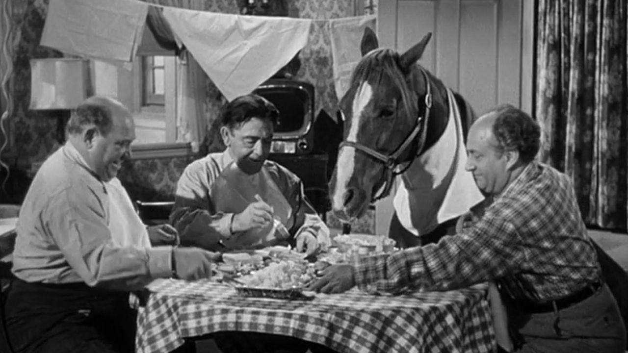 Horsing Around backdrop