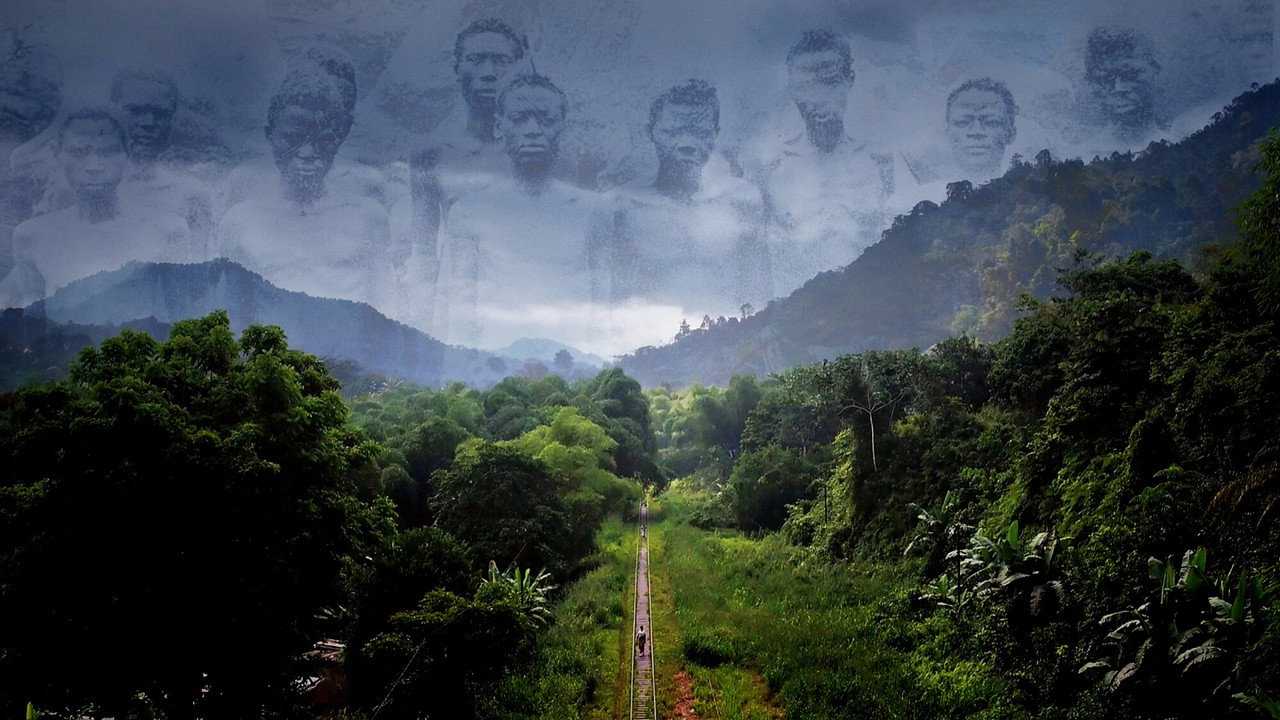 Congo-Océan, un chemin de fer et de sang backdrop