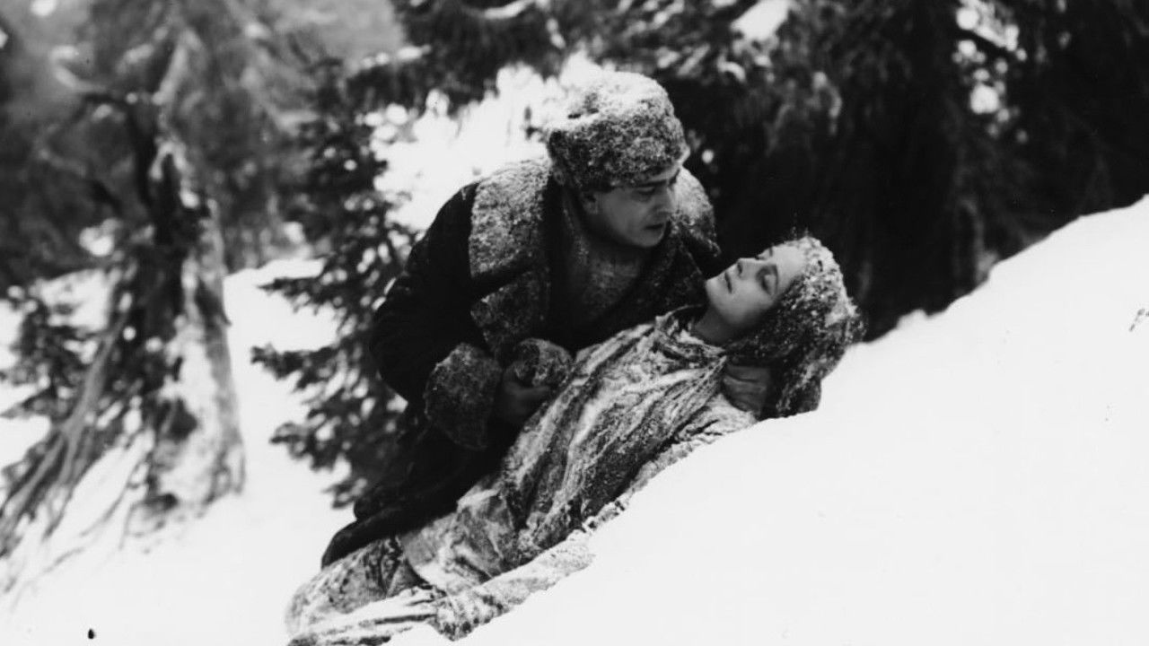 Stormfågeln backdrop