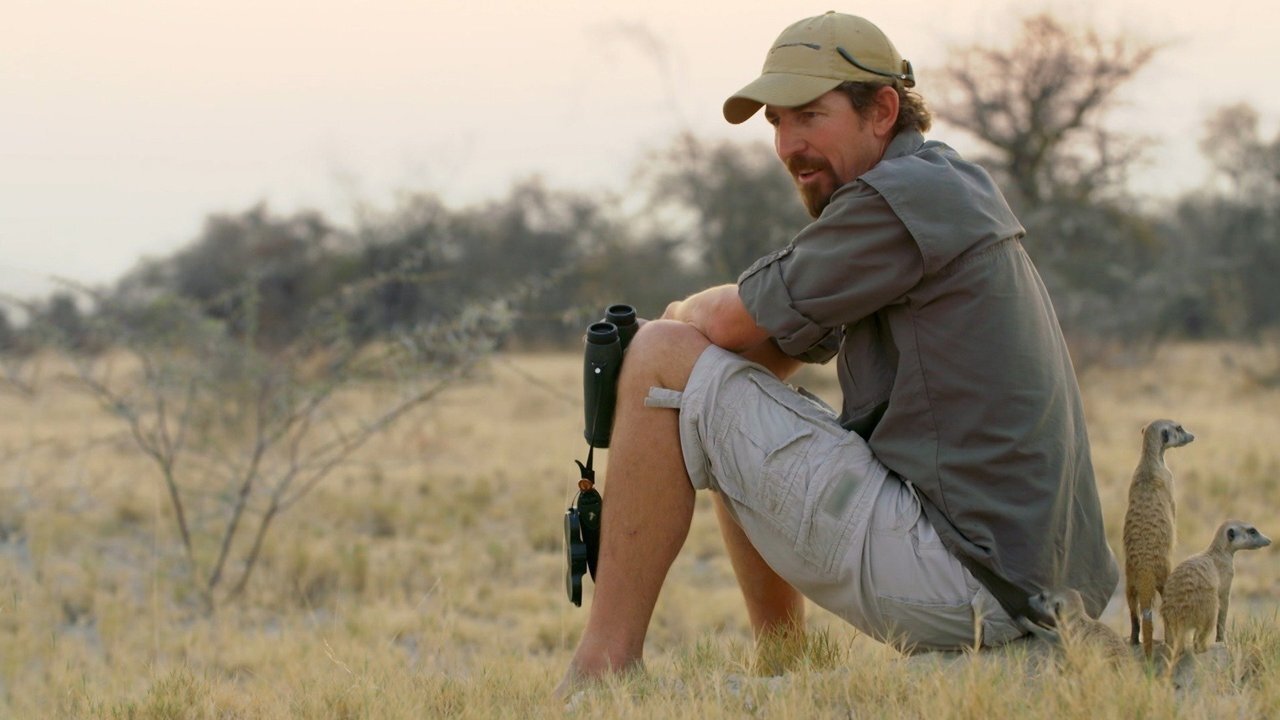 Safari Brothers backdrop