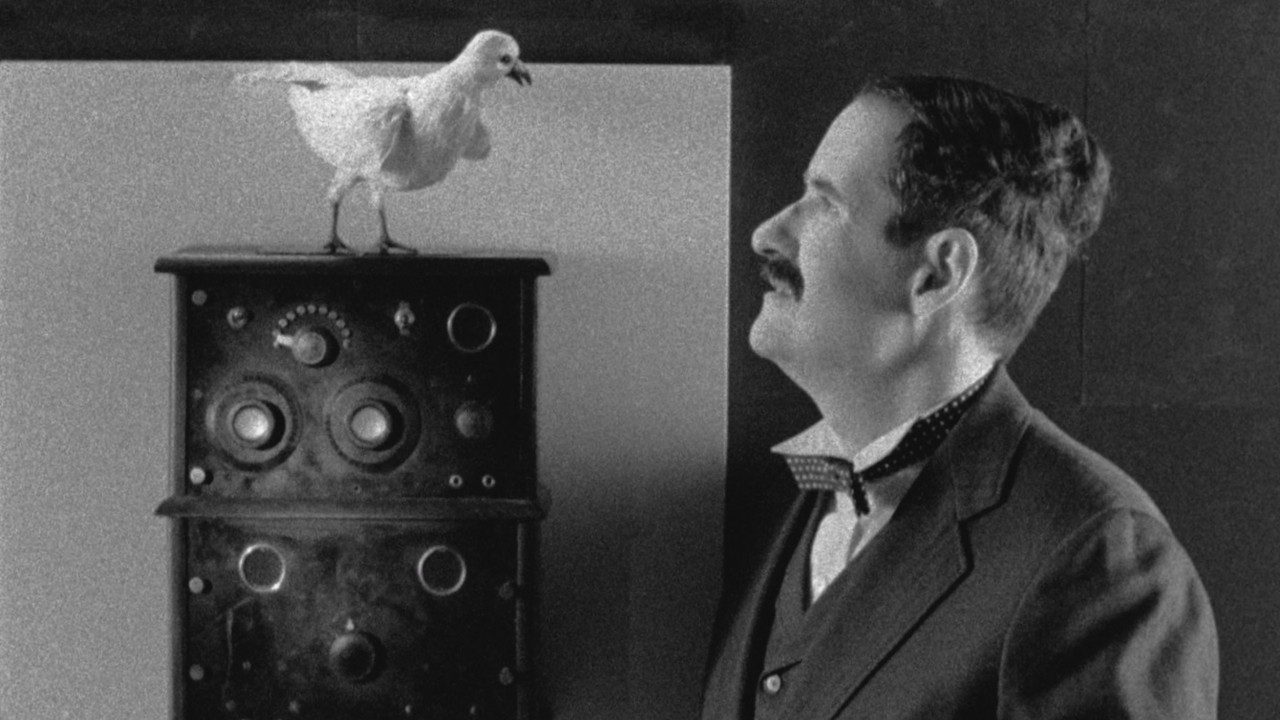 The Tesla World Light backdrop