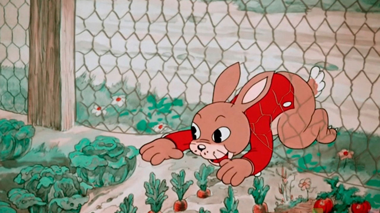 Country Boy backdrop