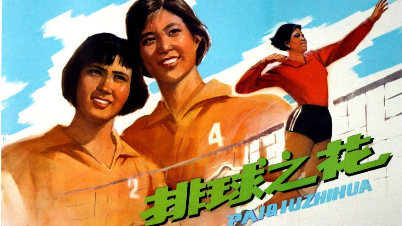 The “Volleyball Flower” backdrop