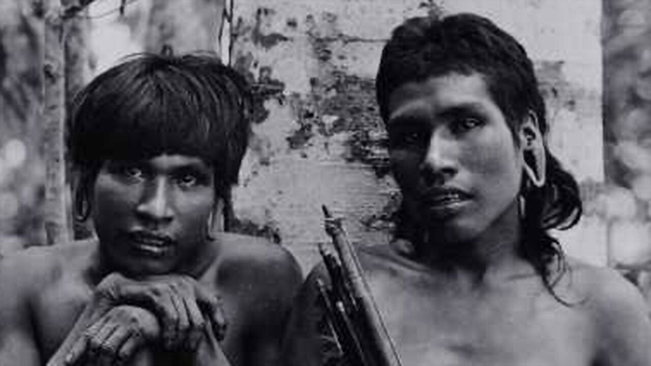 Ailton Krenak: O Sonho da Pedra backdrop