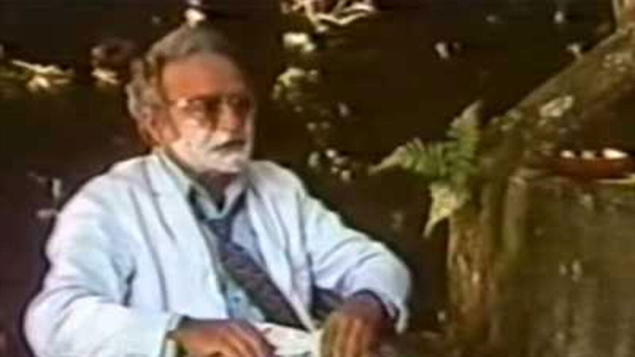 O Milagre das Águas - A História de Nossa Senhora Aparecida backdrop