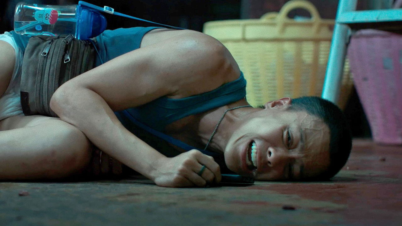 Timeless Reactions backdrop