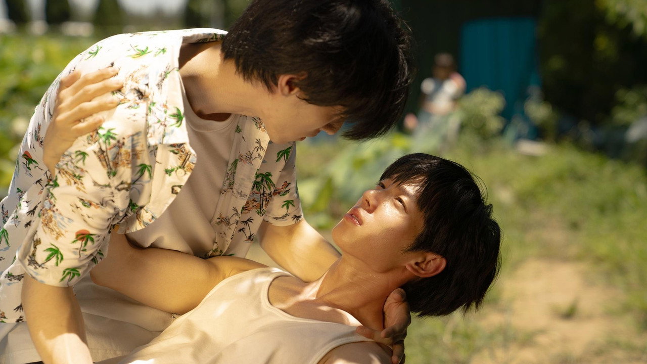 Pink Summer backdrop