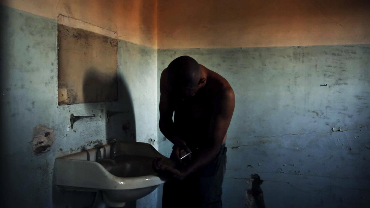 White Noise backdrop