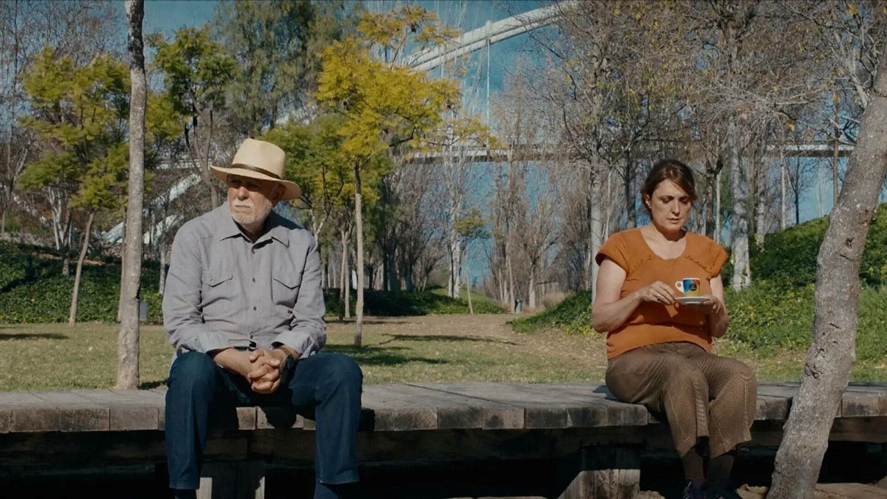 An Elephant On A Spider Web backdrop