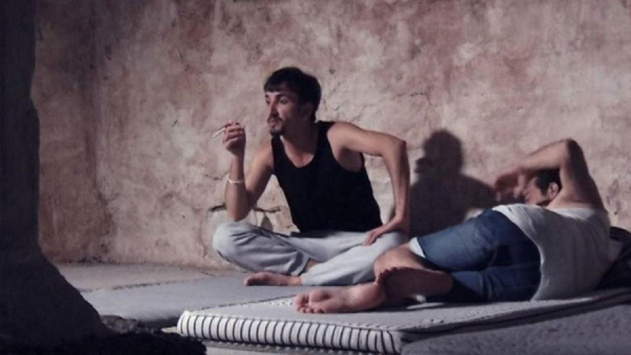 Privacy of Wounds backdrop