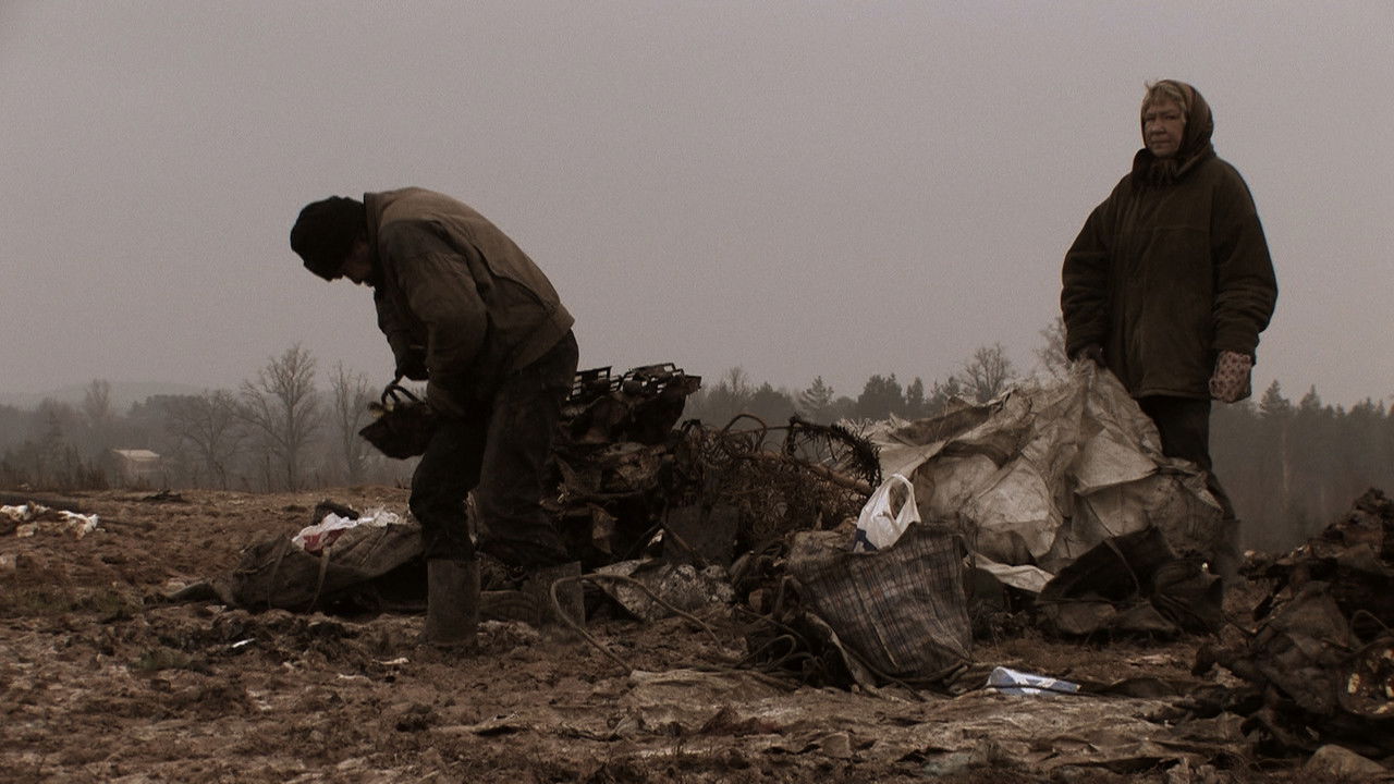 The Field of Magic backdrop