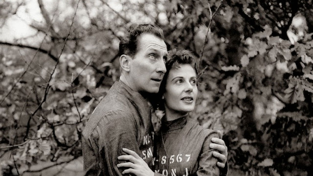 Nineteen Eighty-Four backdrop