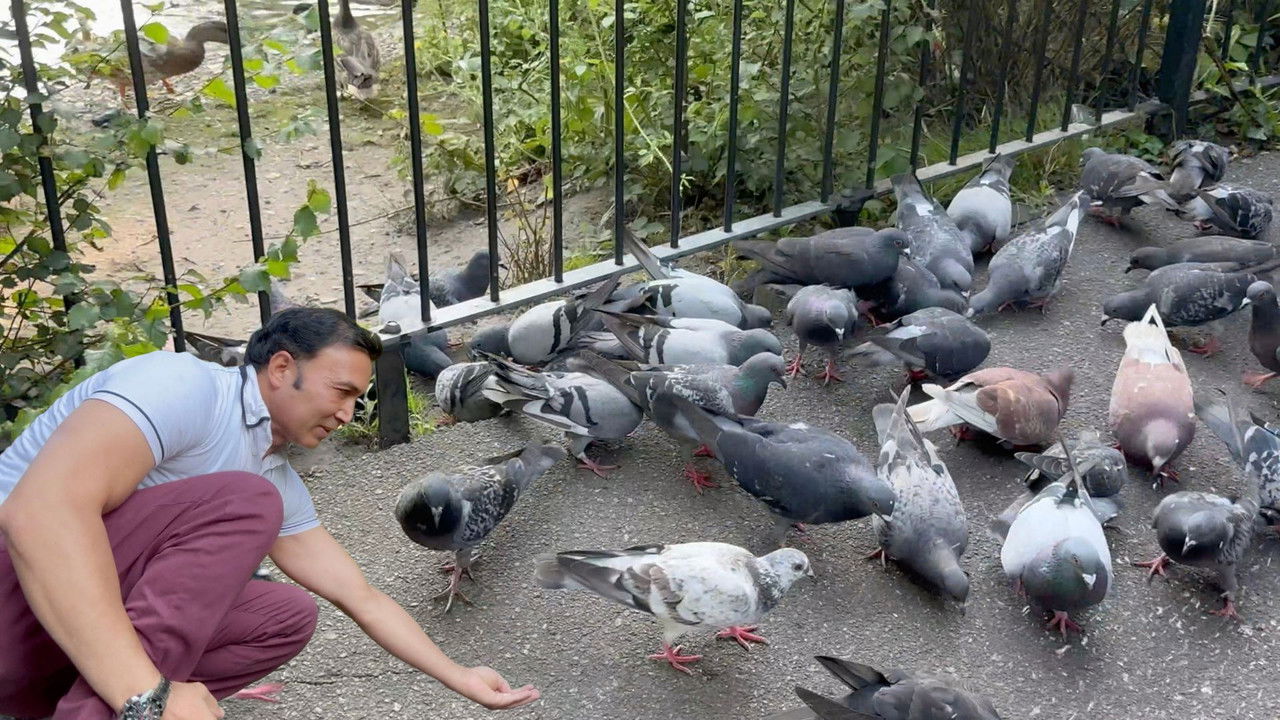 Manor Park Aldershot backdrop