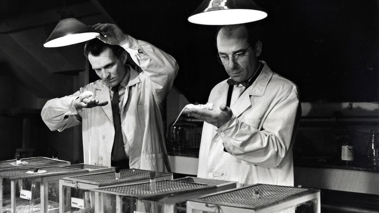 Mykoin PH 510 backdrop