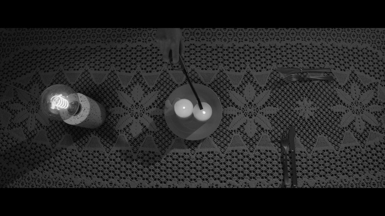 White Picket Fence backdrop