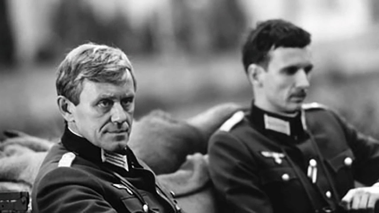 Ways in the Night backdrop