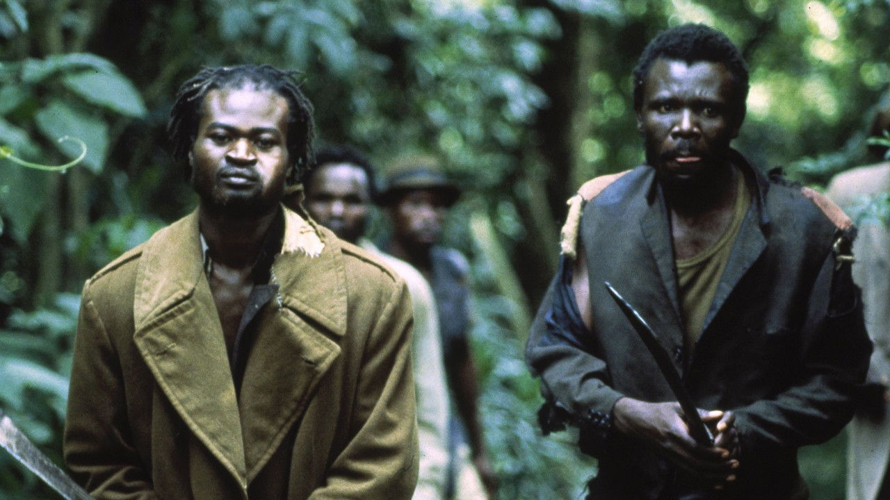 The Kitchen Toto backdrop