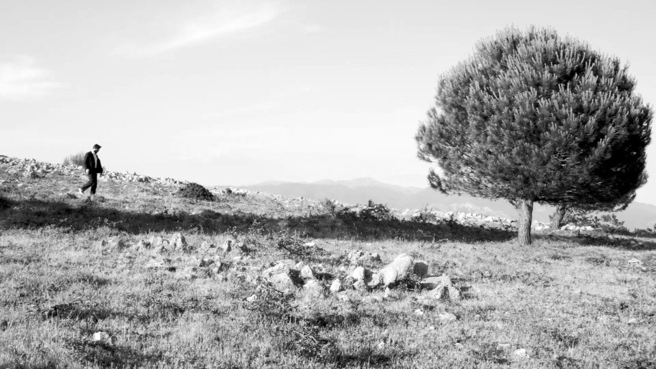 Essere Idea backdrop