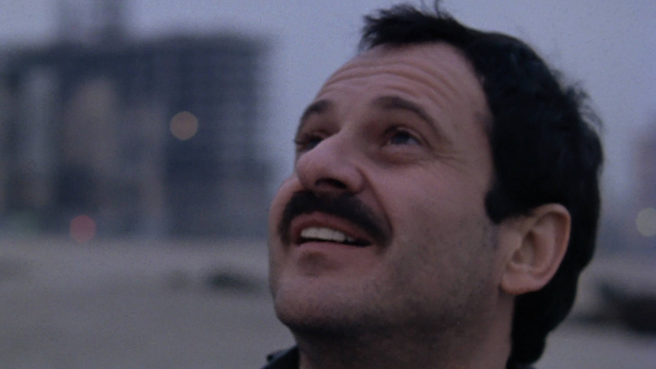 Dear Mr. Wonderful backdrop