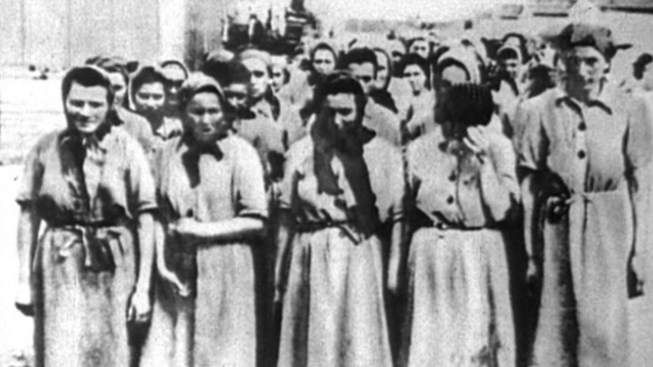 Women of the Resistance backdrop