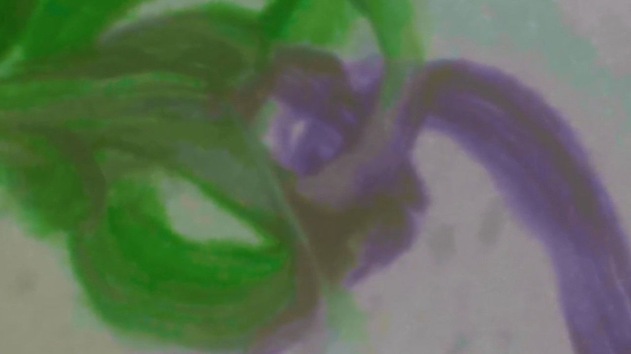 My Heart Beats For You backdrop