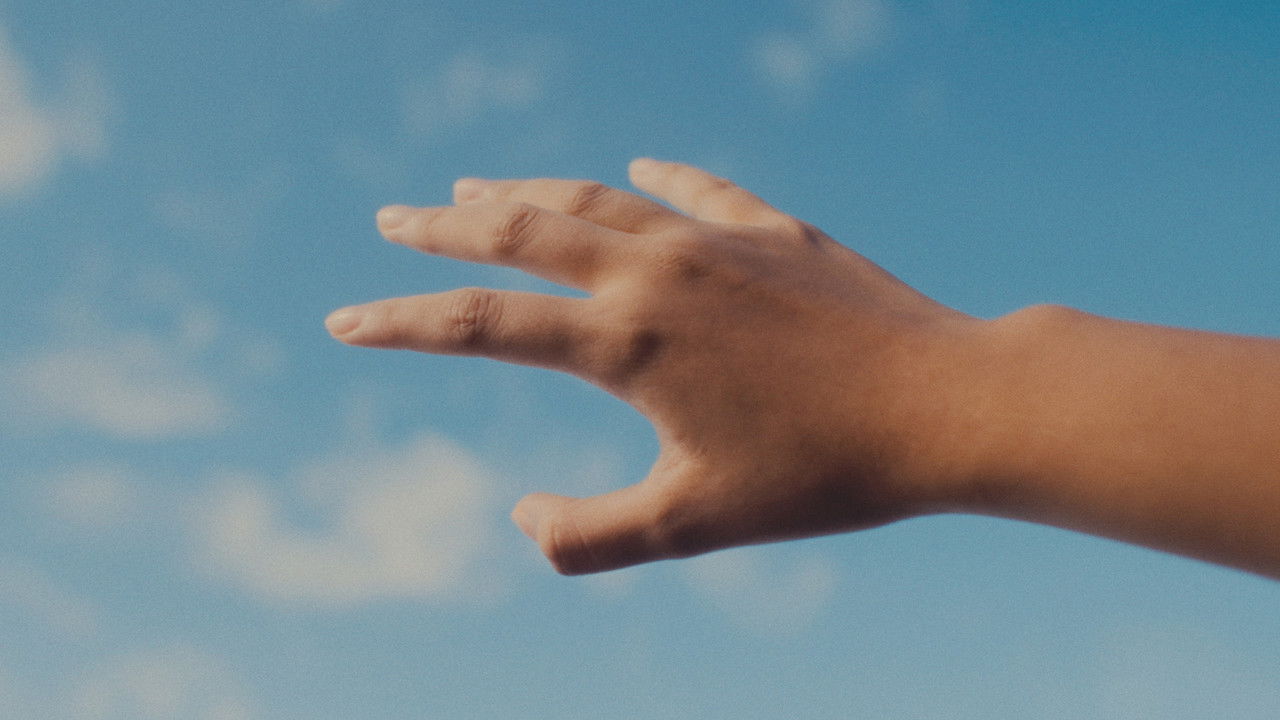 3rd Color Anatomy backdrop