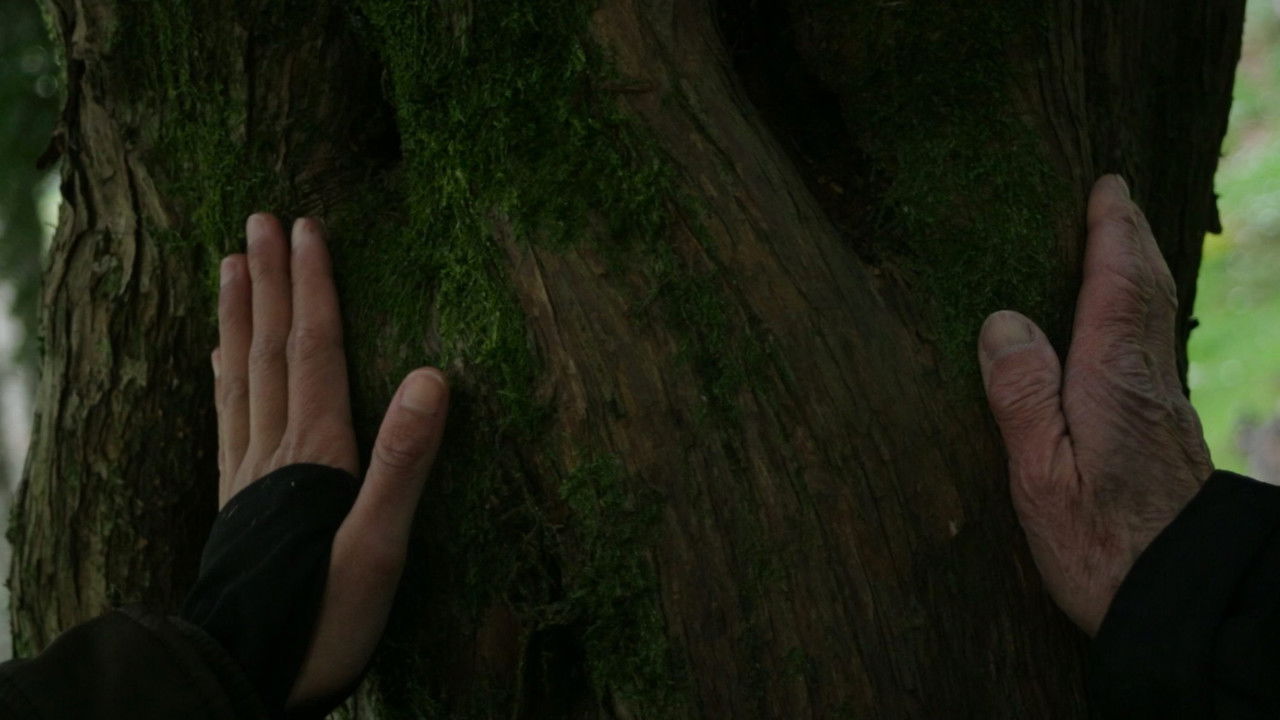 We Are Two Abysses backdrop