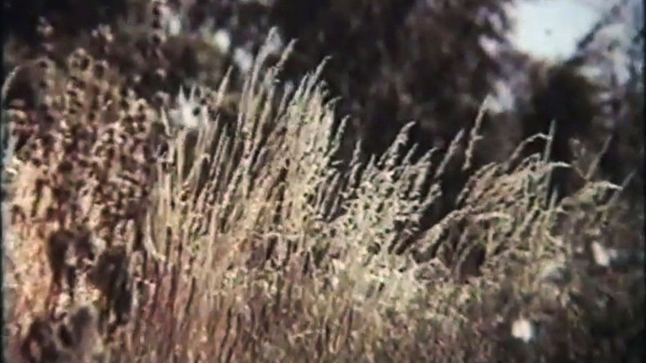 Mykhailo Sikorsky's Eushan Potion backdrop