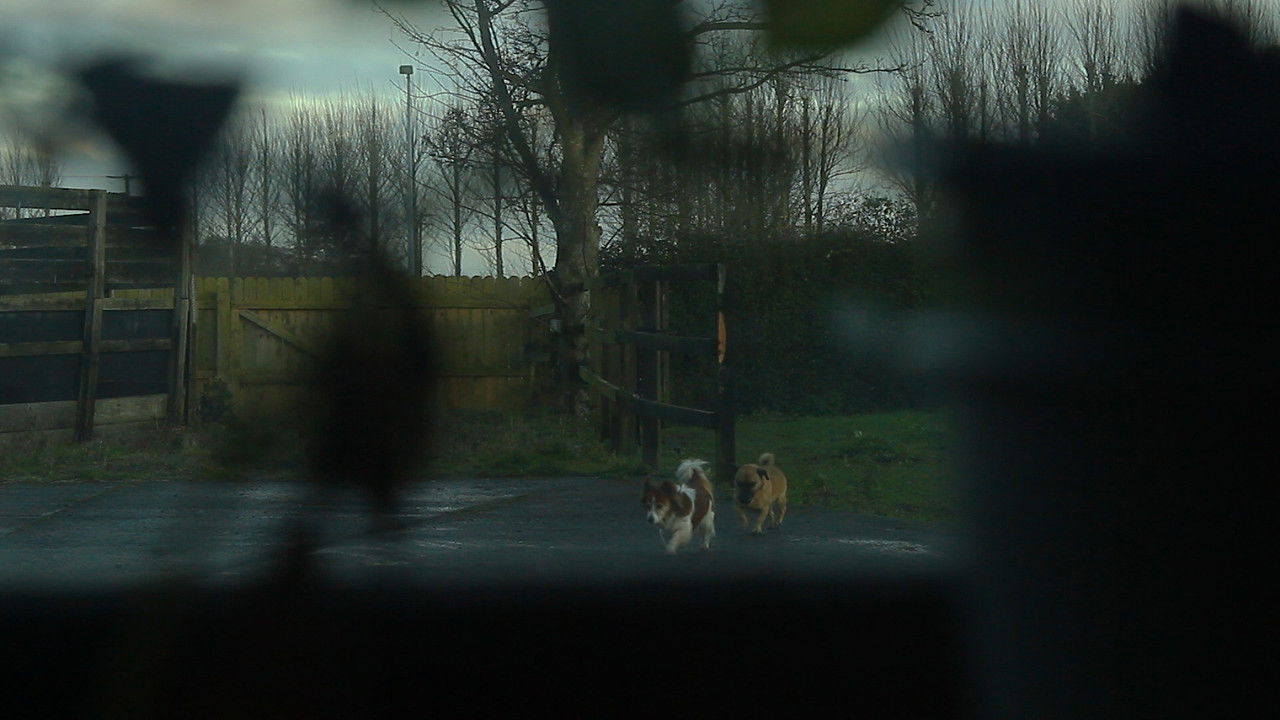 square one. backdrop