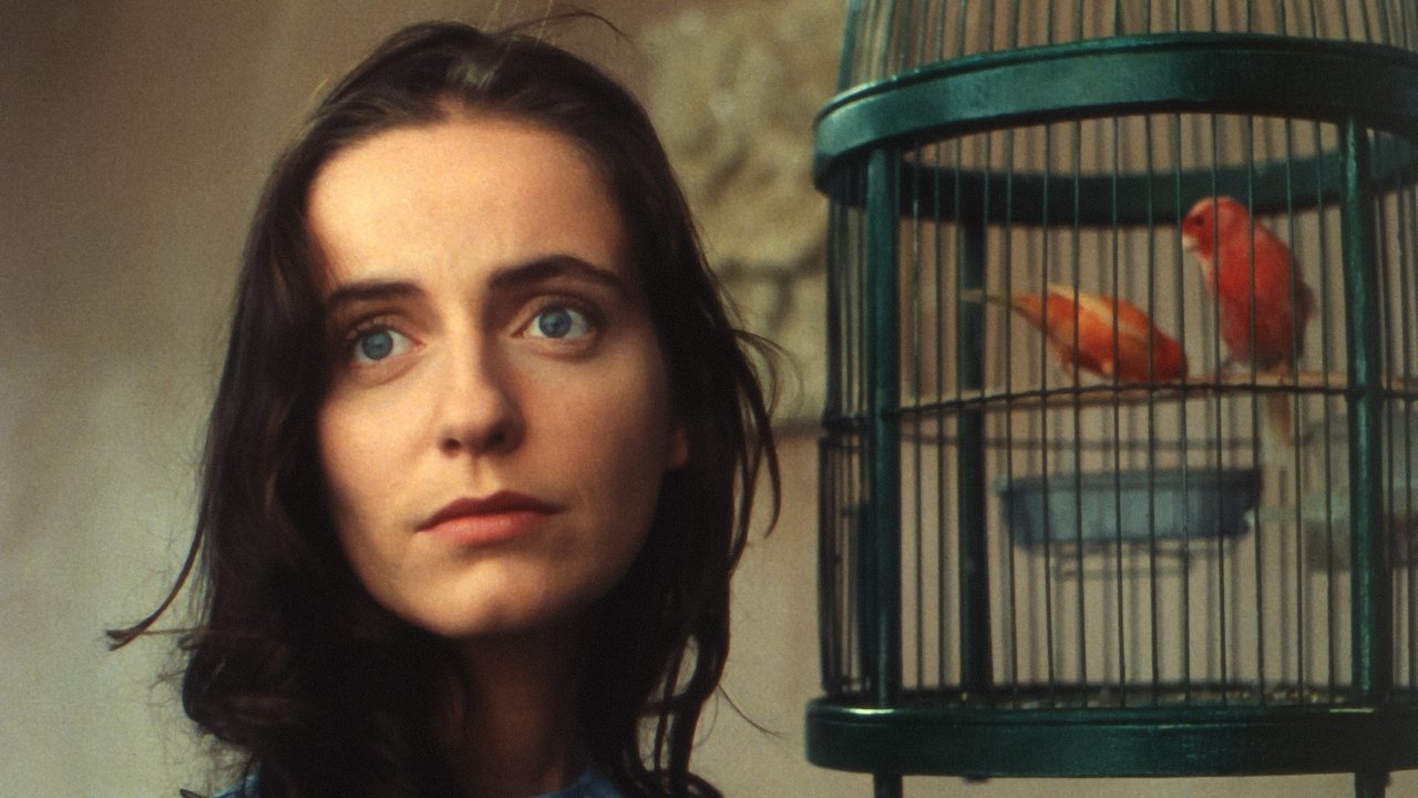 Abraham's Valley backdrop