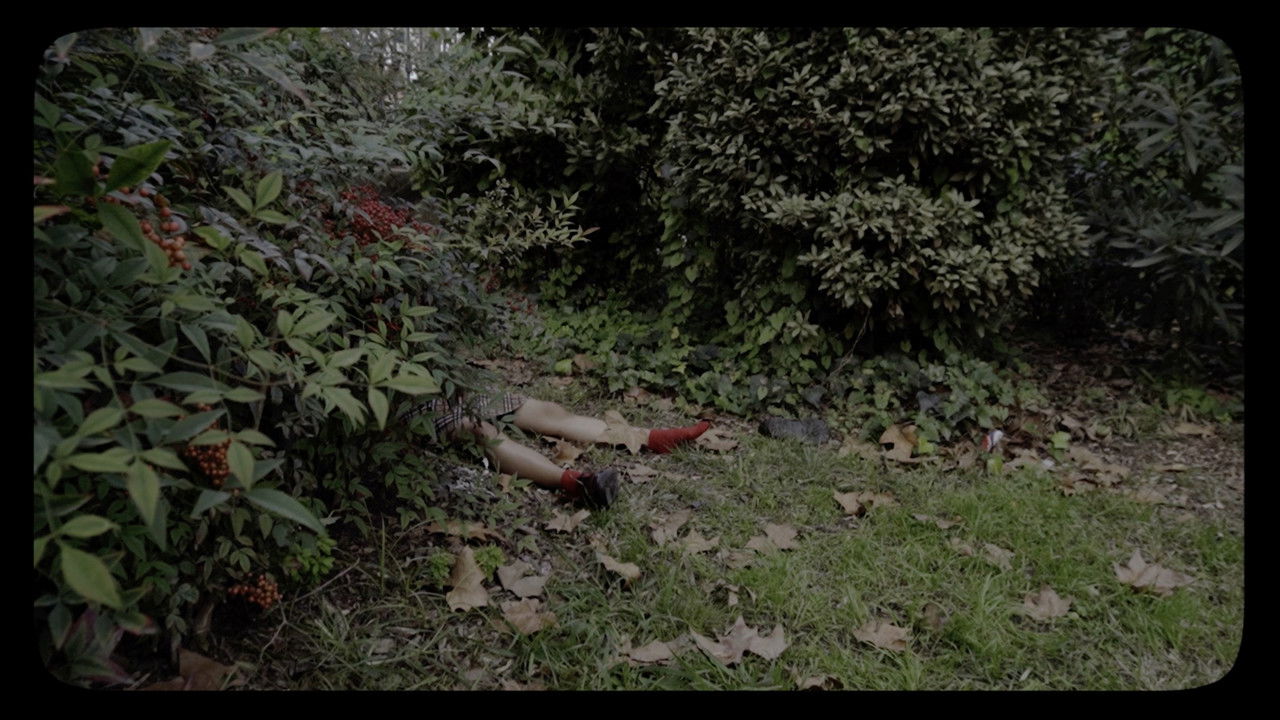 Bodies of Mary backdrop