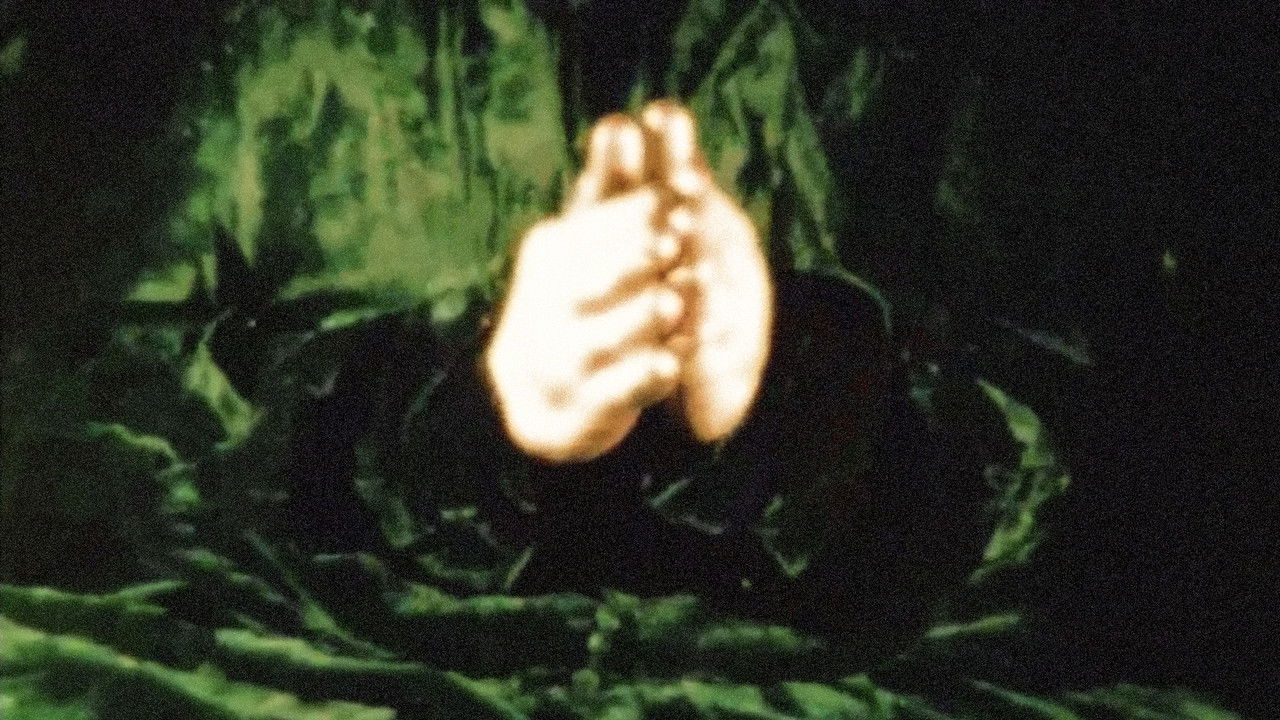 The Story of the Little Green Man backdrop