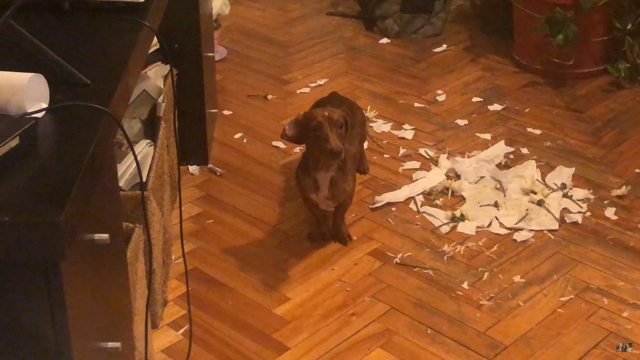 The Breakfast backdrop