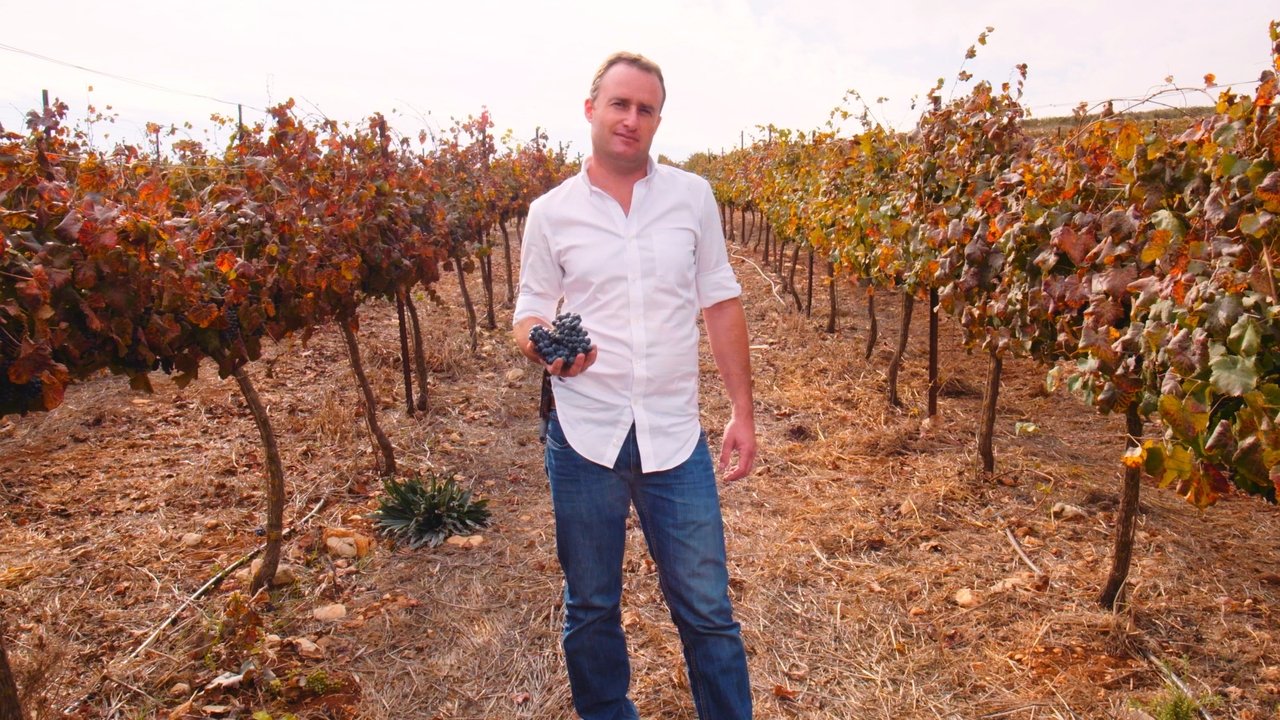 I AM ISRAEL backdrop